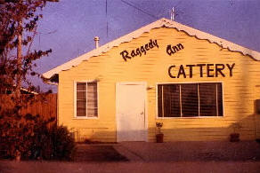 raggedycattery